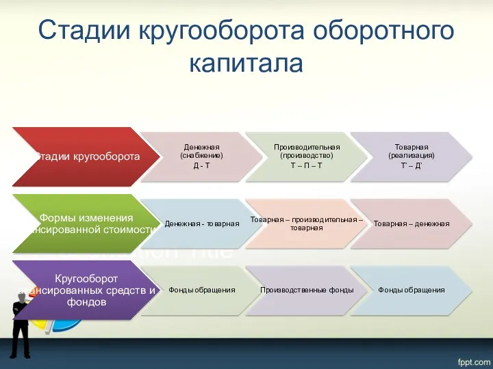 Стадии кругооборота оборотного капитала