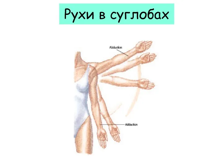 Рухи в суглобах