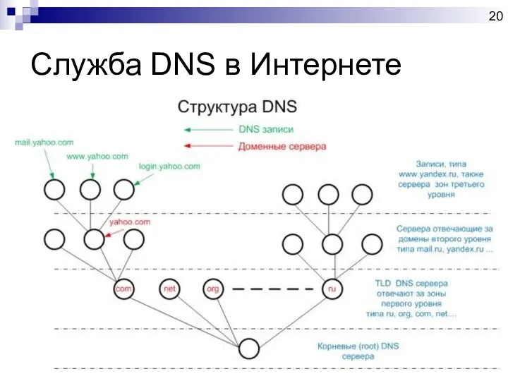 Служба DNS в Интернете DNS-имена имеют иерархическую структуру