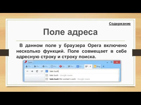 Поле адреса В данном поле у браузера Opera включено несколько