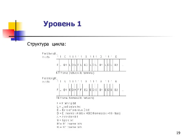 Уровень 1 Структура цикла: