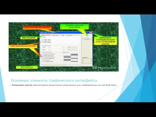 Основные элементы графического интерфейса. Командная кнопка обеспечивает выполнение написанного или изображённого на ней действия.
