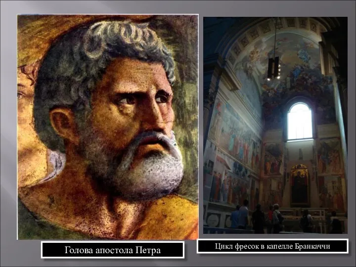 Голова апостола Петра Цикл фресок в капелле Бранкаччи