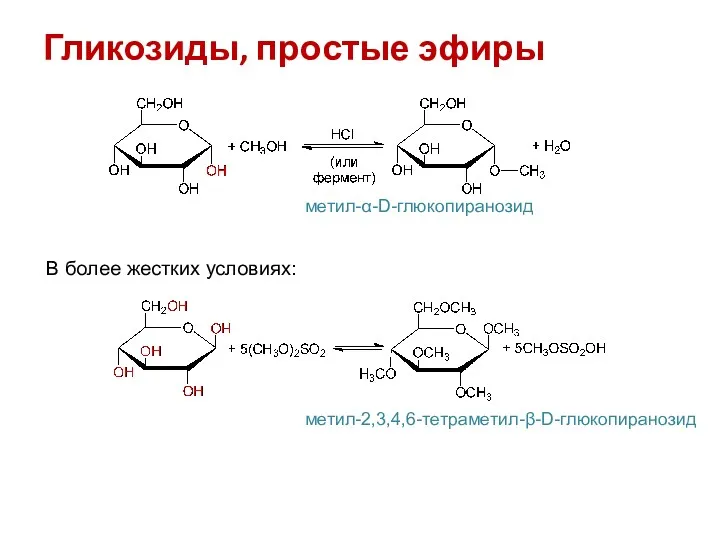Гликозиды, простые эфиры метил-α-D-глюкопиранозид В более жестких условиях: метил-2,3,4,6-тетраметил-β-D-глюкопиранозид