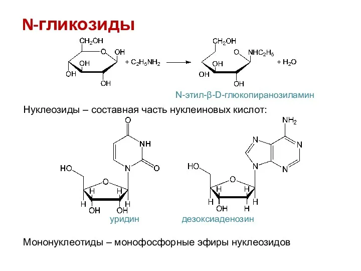 N-гликозиды N-этил-β-D-глюкопиранозиламин Нуклеозиды – составная часть нуклеиновых кислот: уридин дезоксиаденозин Мононуклеотиды – монофосфорные эфиры нуклеозидов