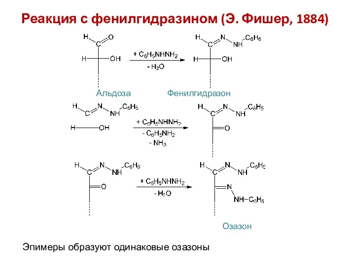 Реакция с фенилгидразином (Э. Фишер, 1884) Альдоза Фенилгидразон Эпимеры образуют одинаковые озазоны Озазон