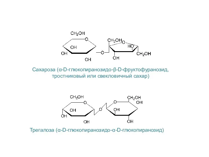 Сахароза (α-D-глюкопиранозидо-β-D-фруктофуранозид, тростниковый или свекловичный сахар) Трегалоза (α-D-глюкопиранозидо-α-D-глюкопиранозид)