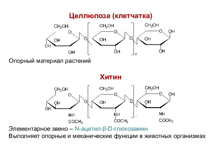 Целлюлоза (клетчатка) Хитин Элементарное звено – N-ацетил-β-D-глюкозамин Выполняет опорные и