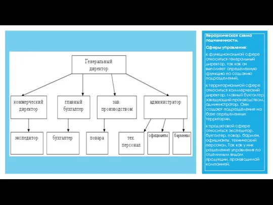 Иерархическая схема подчиненности. Сферы управления: к функциональной сфере относиться генеральный