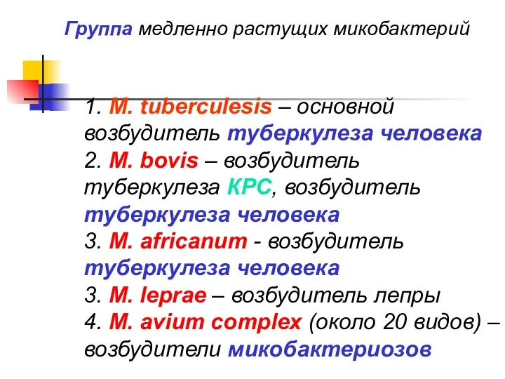 1. M. tuberculesis – основной возбудитель туберкулеза человека 2. M.