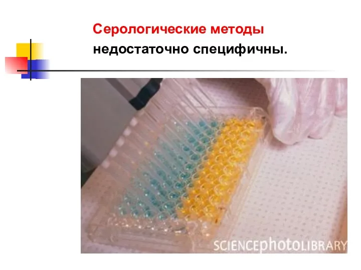 Серологические методы недостаточно специфичны.