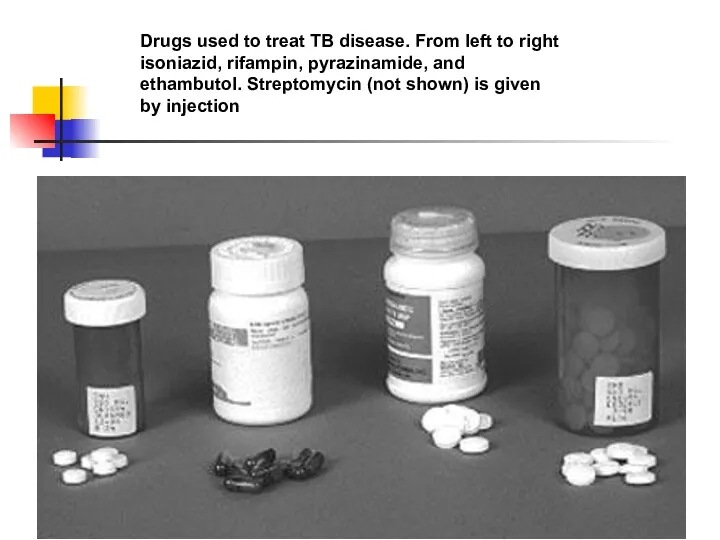 Drugs used to treat TB disease. From left to right