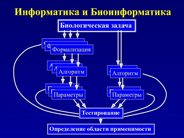 Информатика и Биоинформатика Биологическая задача Формализация Формализация Формализация Алгоритм Алгоритм