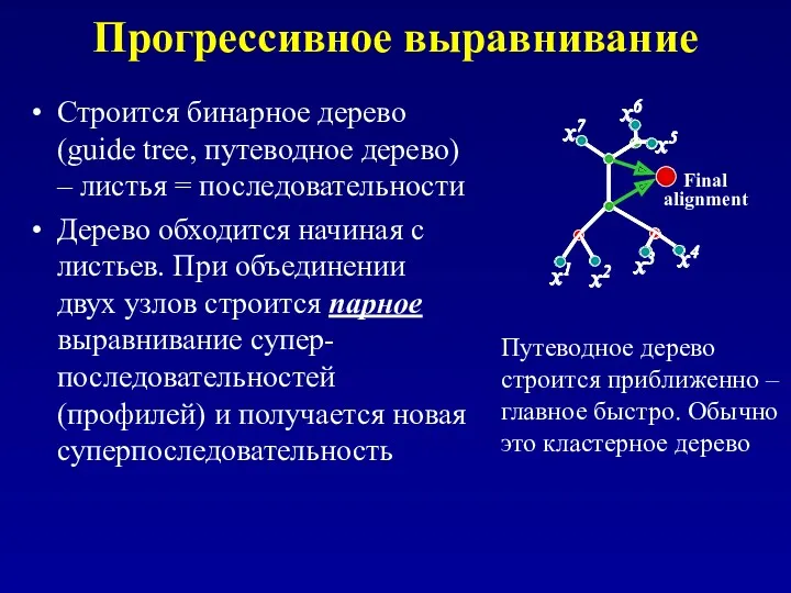 Прогрессивное выравнивание Строится бинарное дерево (guide tree, путеводное дерево) –