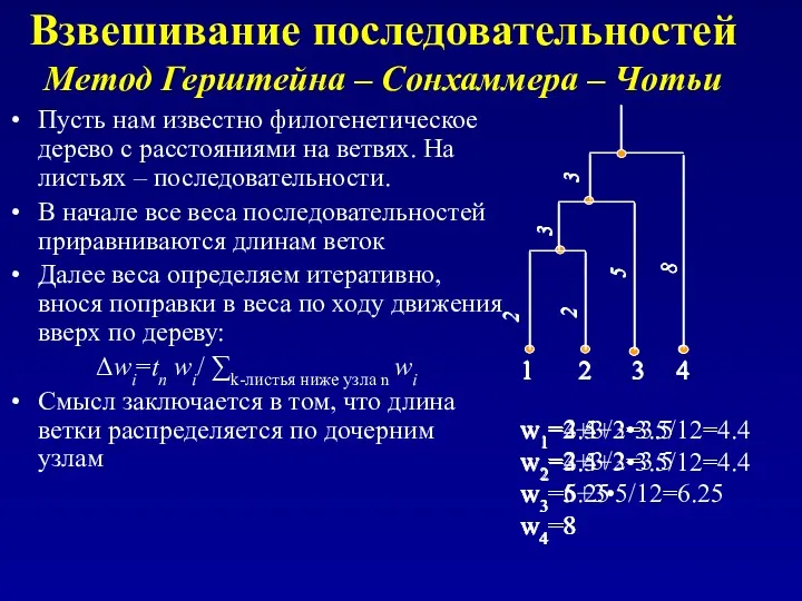 Взвешивание последовательностей Метод Герштейна – Сонхаммера – Чотьи Пусть нам