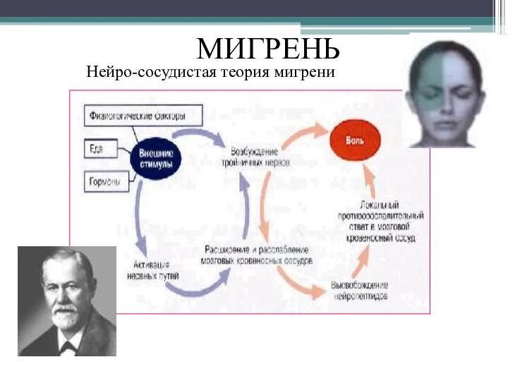 МИГРЕНЬ Нейро-сосудистая теория мигрени