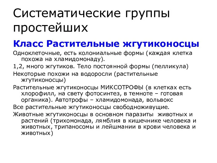 Систематические группы простейших Класс Растительные жгутиконосцы Одноклеточные, есть колониальные формы