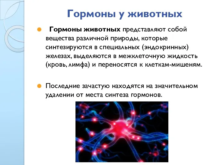 Гормоны у животных Гормоны животных представляют собой вещества различной природы,