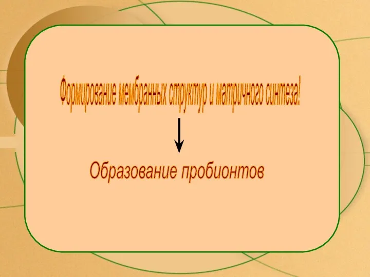 Формирование мембранных структур и матричного синтеза! Образование пробионтов