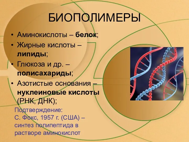 БИОПОЛИМЕРЫ Аминокислоты – белок; Жирные кислоты – липиды; Глюкоза и