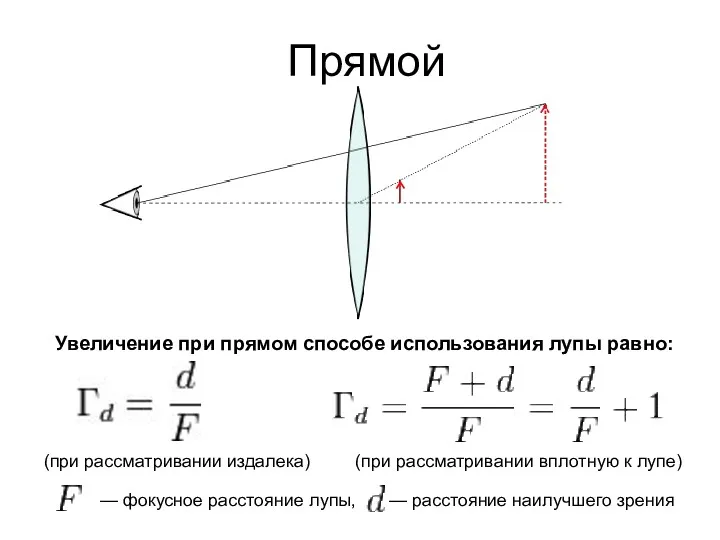 Прямой Увеличение при прямом способе использования лупы равно: (при рассматривании