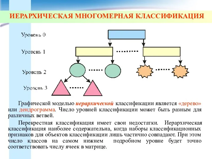 ИЕРАРХИЧЕСКАЯ МНОГОМЕРНАЯ КЛАССИФИКАЦИЯ Графической моделью иерархической классификации является «дерево» или