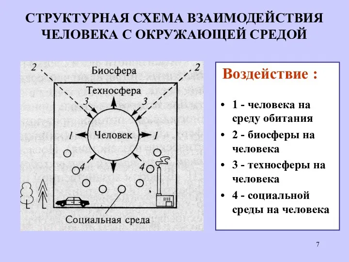 СТРУКТУРНАЯ СХЕМА ВЗАИМОДЕЙСТВИЯ ЧЕЛОВЕКА С ОКРУЖАЮЩЕЙ СРЕДОЙ Воздействие : 1