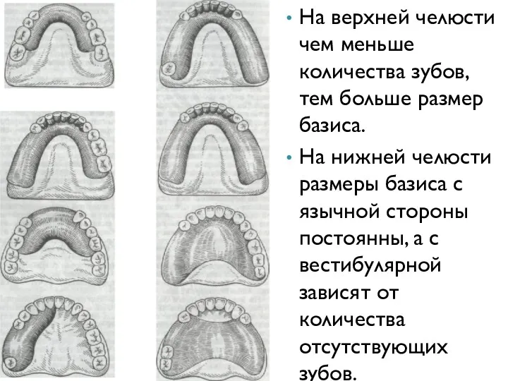 На верхней челюсти чем меньше количества зубов, тем больше размер