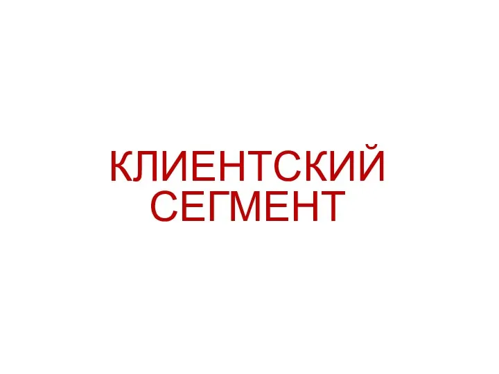 КЛИЕНТСКИЙ СЕГМЕНТ