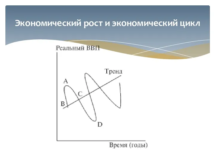 Экономический рост и экономический цикл