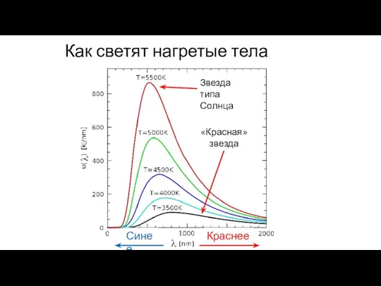 Как светят нагретые тела Краснее Синее Звезда типа Солнца «Красная» звезда