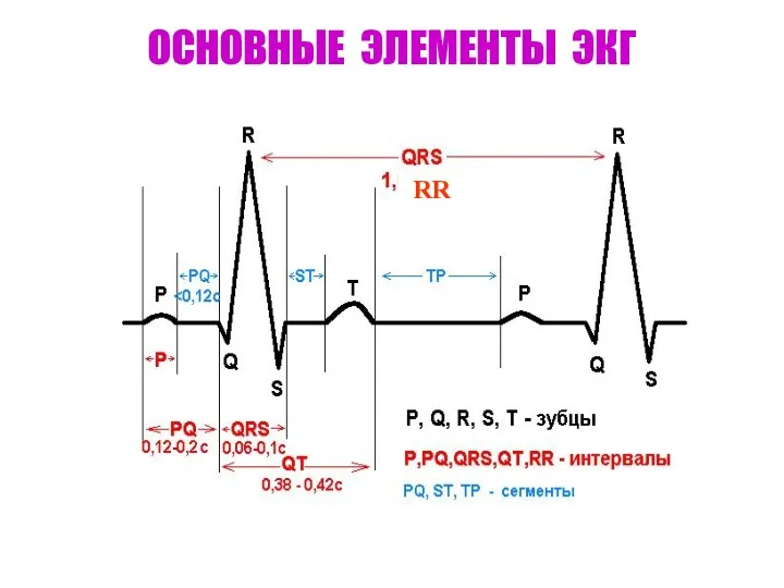 ОСНОВНЫЕ ЭЛЕМЕНТЫ ЭКГ RR