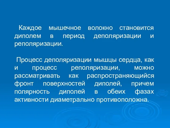 Каждое мышечное волокно становится диполем в период деполяризации и реполяризации.