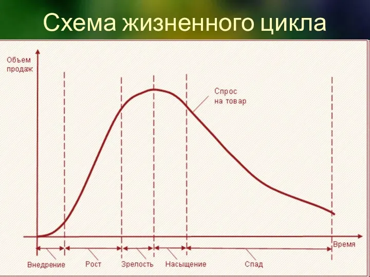 Схема жизненного цикла товара