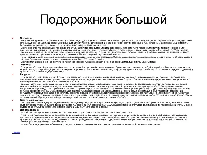 Подорожник большой Описание: Многолетнее травянистое растение, высотой 10-50 см., с