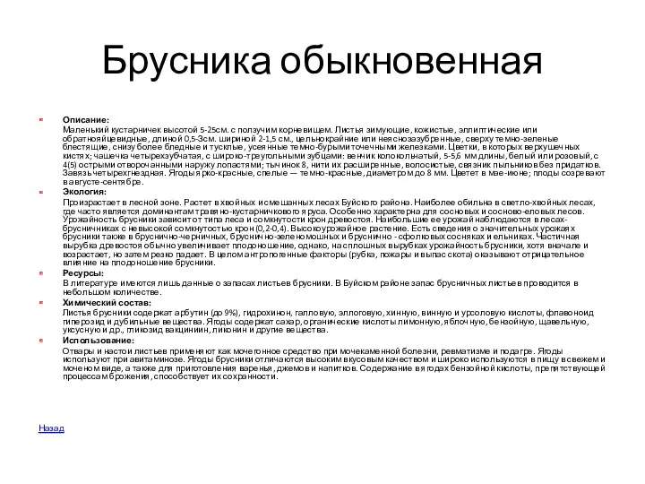 Брусника обыкновенная Описание: Маленький кустарничек высотой 5-25см. с ползучим корневищем.