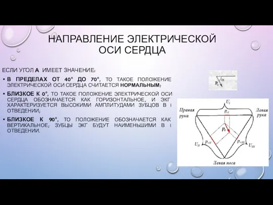 НАПРАВЛЕНИЕ ЭЛЕКТРИЧЕСКОЙ ОСИ СЕРДЦА ЕСЛИ УГОЛ Α ИМЕЕТ ЗНАЧЕНИЕ: В