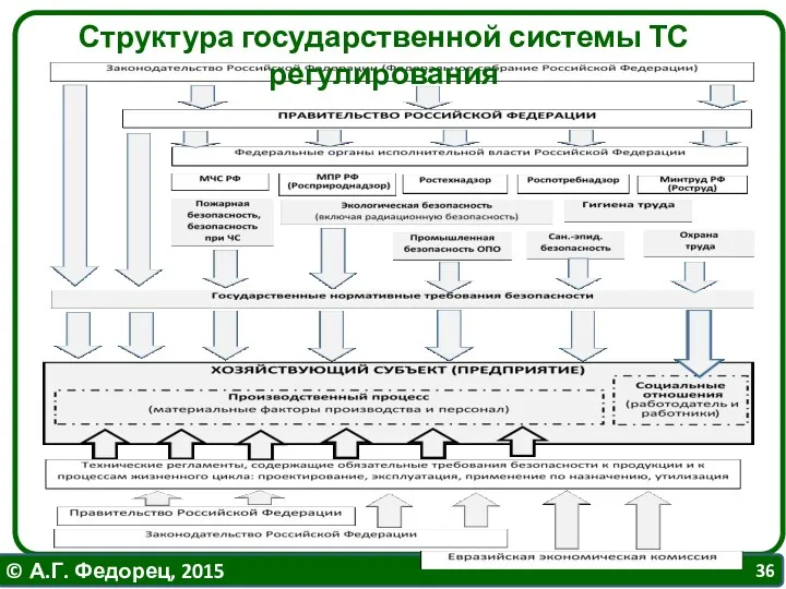 Структура государственной системы ТС регулирования