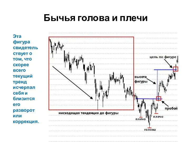 Бычья голова и плечи Эта фигура свидетельствует о том, что