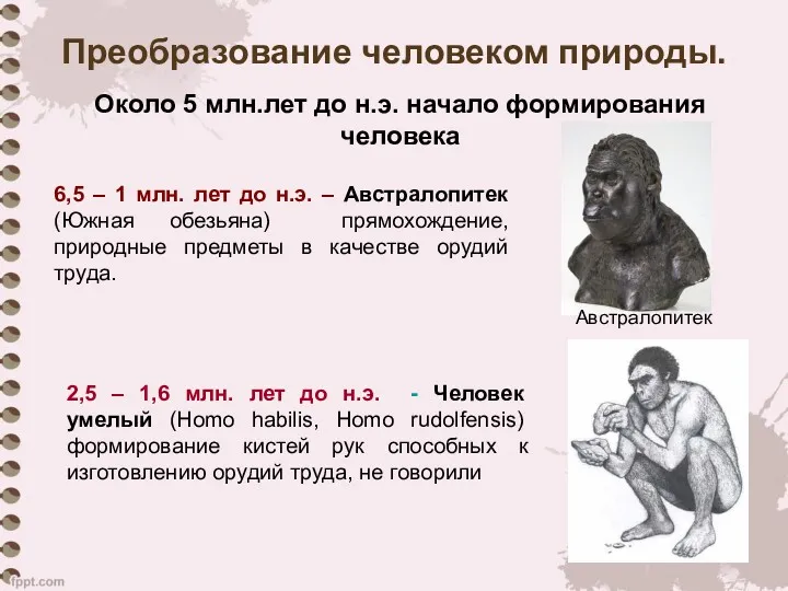 Преобразование человеком природы. Около 5 млн.лет до н.э. начало формирования человека 6,5 –