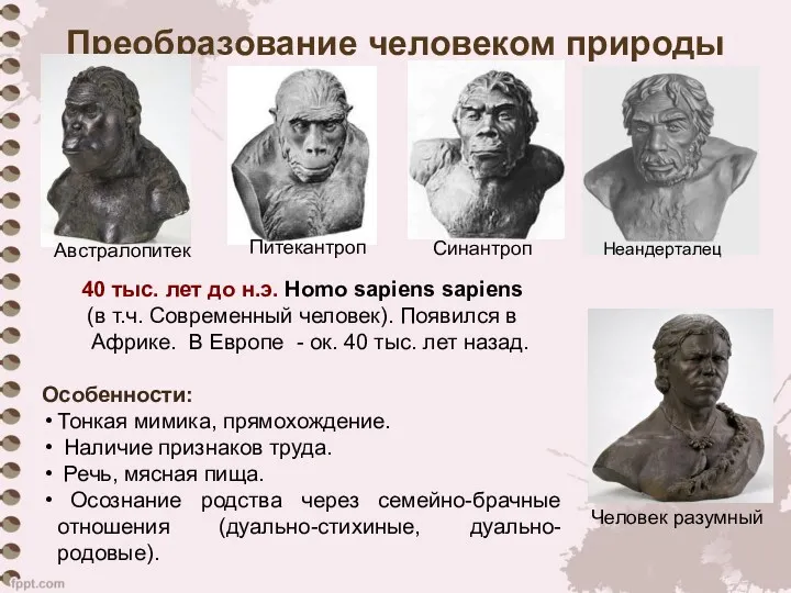 Преобразование человеком природы 40 тыс. лет до н.э. Homo sapiens sapiens (в т.ч.
