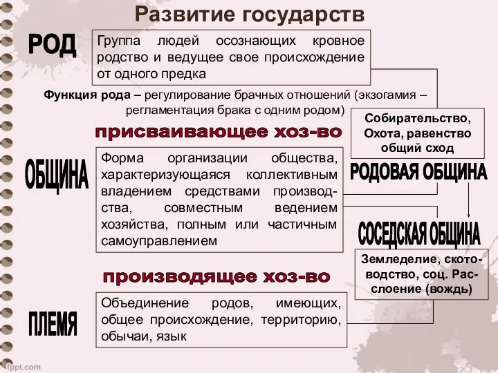 Развитие государств РОД РОДОВАЯ ОБЩИНА СОСЕДСКАЯ ОБЩИНА ПЛЕМЯ Группа людей осознающих кровное родство