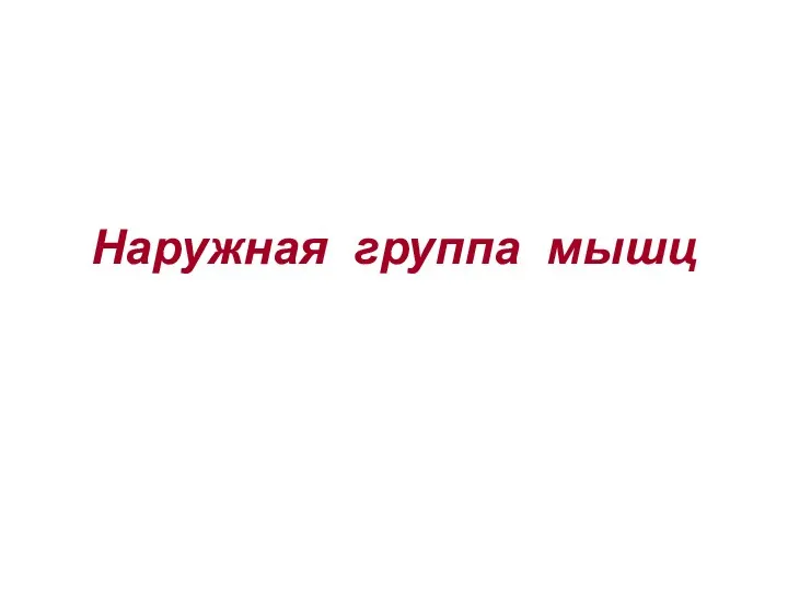 Наружная группа мышц