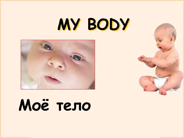 MY BODY Моё тело