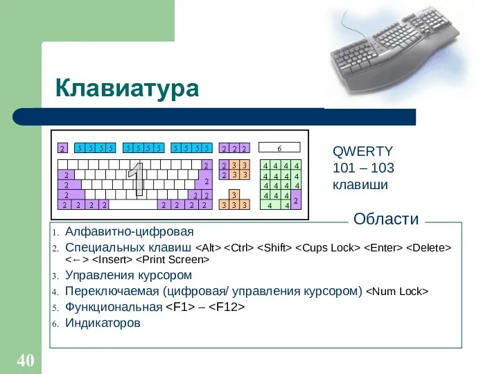 Клавиатура Алфавитно-цифровая Специальных клавиш Управления курсором Переключаемая (цифровая/ управления курсором) Функциональная – Индикаторов