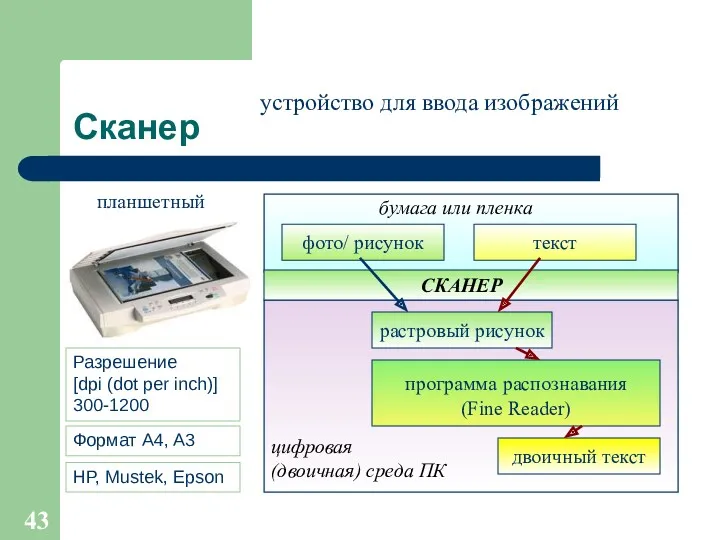 Сканер устройство для ввода изображений планшетный Разрешение [dpi (dot per