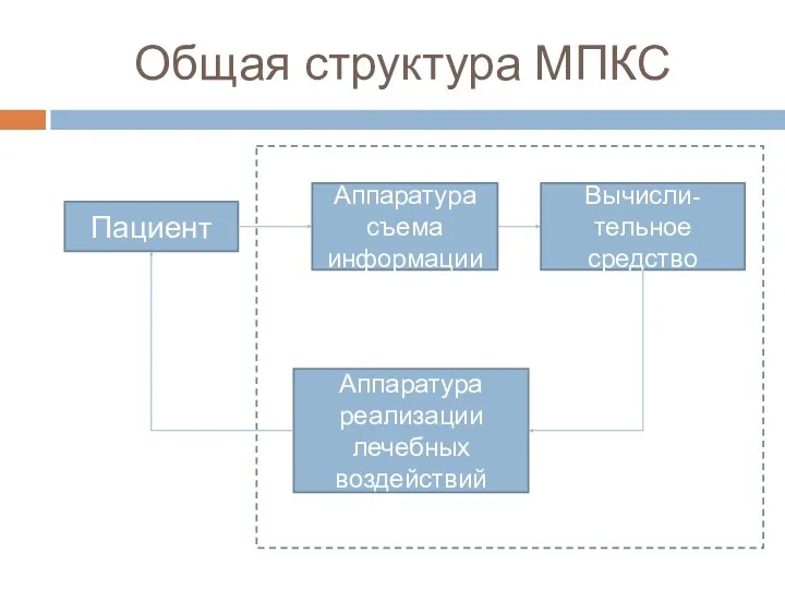 Общая структура МПКС