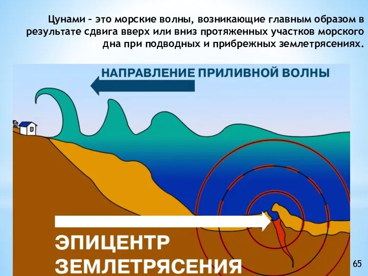 Цунами – это морские волны, возникающие главным образом в результате