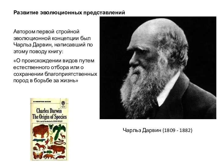 Развитие эволюционных представлений Автором первой стройной эволюционной концепции был Чарльз