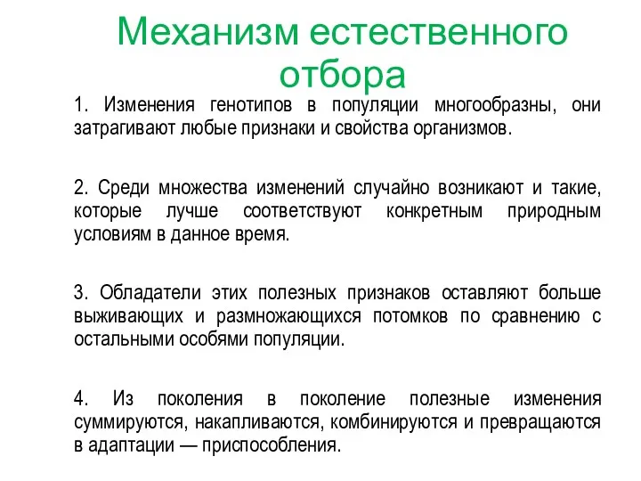 Механизм естественного отбора 1. Изменения генотипов в популяции многообразны, они